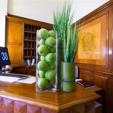 迪索伦托别墅酒店 酒店 索伦托